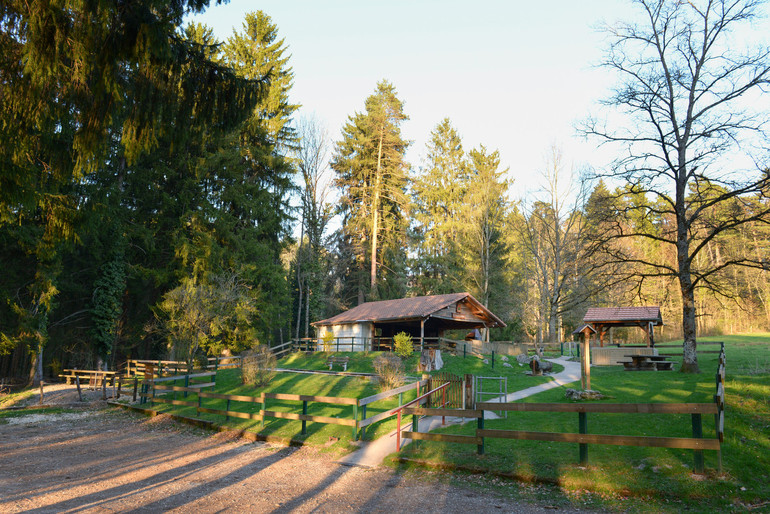 La cabane du Sacy à Courtételle