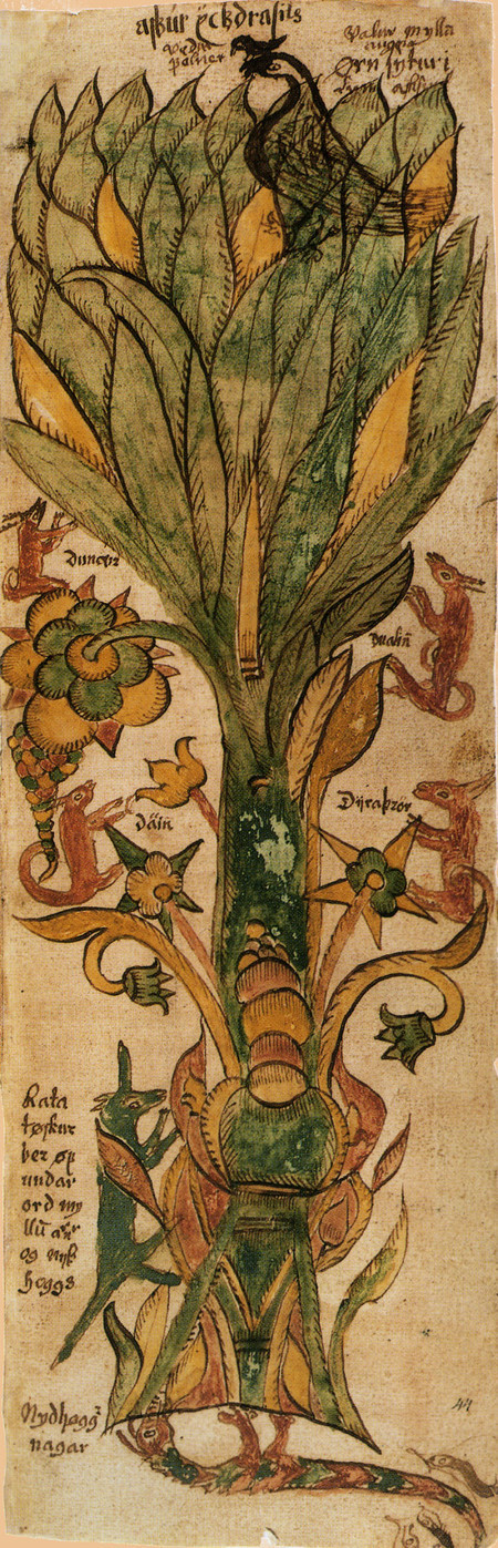 Les Nordiques rendaient notamment un culte à Ygdrassil, un arbre sacré. Illustration issue d’un manuscrit islandais du 17e siècle| Domaine public
