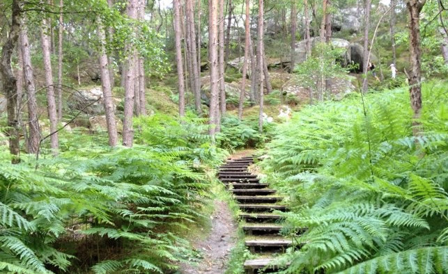 sentier, formation continue de bénévoles en catéchèse ou autre