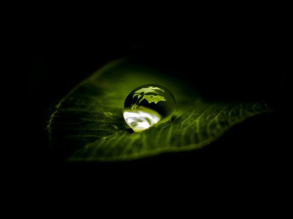méditation goutte d'eau