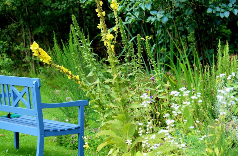 méditation jardin