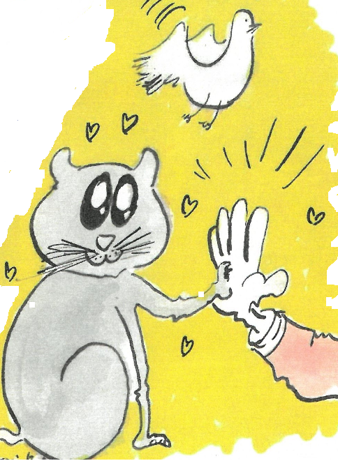 Célébration oecuménique avec animaux et leurs amis