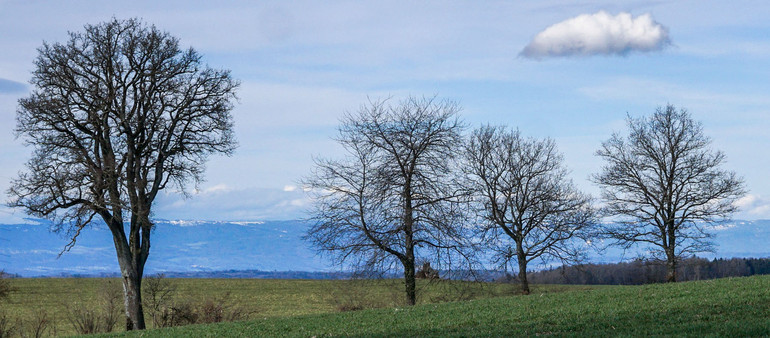 l'Église catholique en Suisse romande est à la peine dans le domaine de la transition écologique | © Maurice Page