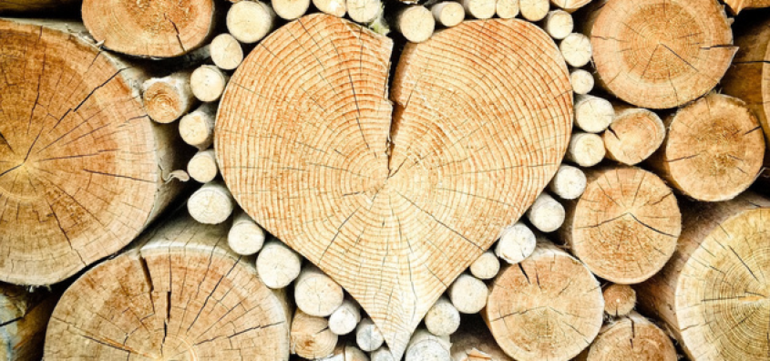 Coeur en bois