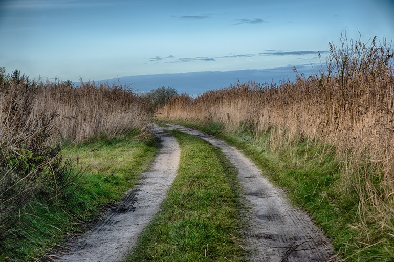 Beautiful shot of a pathway in the middle of a field in the countryside