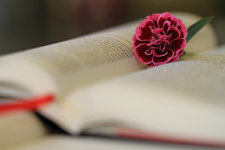 Bible oeillet