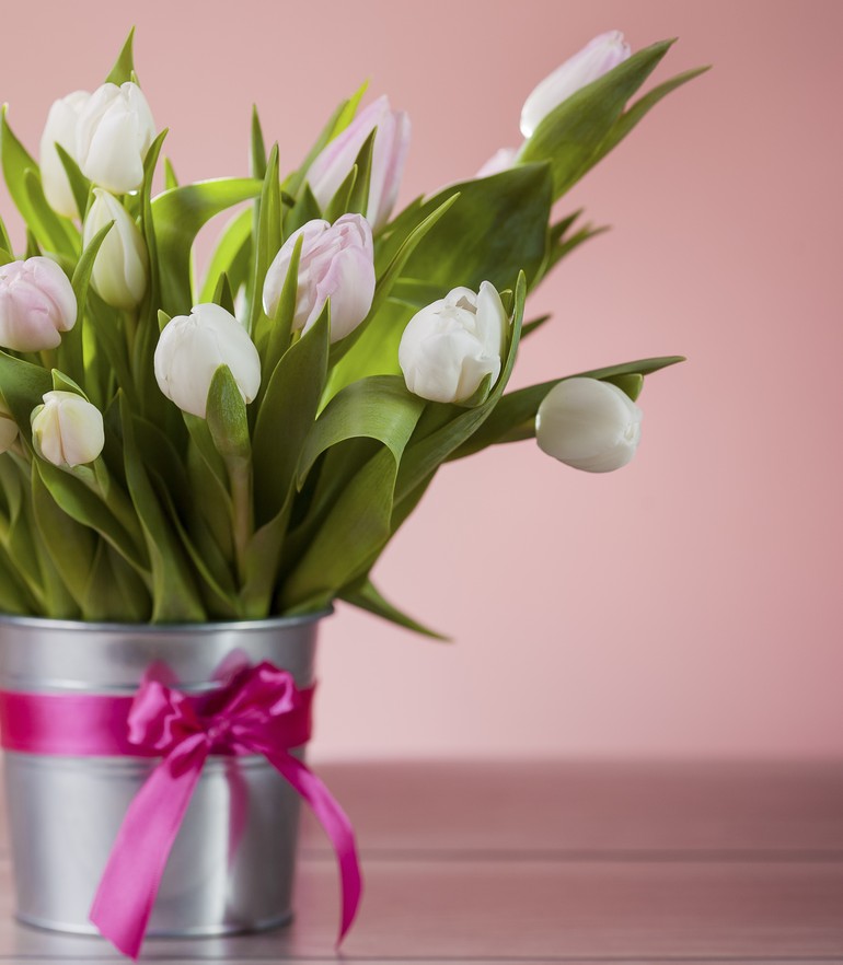 Lovely spring decoration on wood