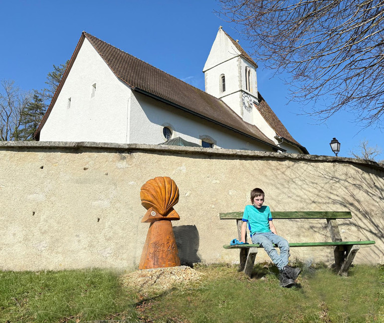 Coquille St-Jacques de Beurrnevésin
