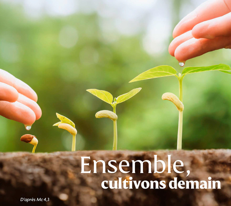 Nature, pousse