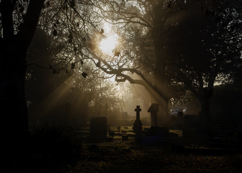 Semaine thématique sur la mort 