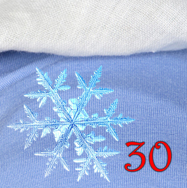 30 flocon