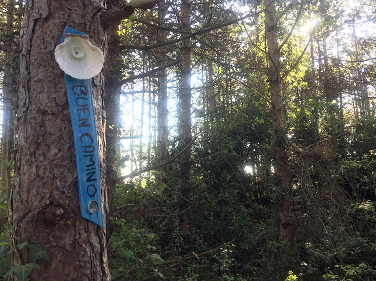 Gilles Berdat en foret