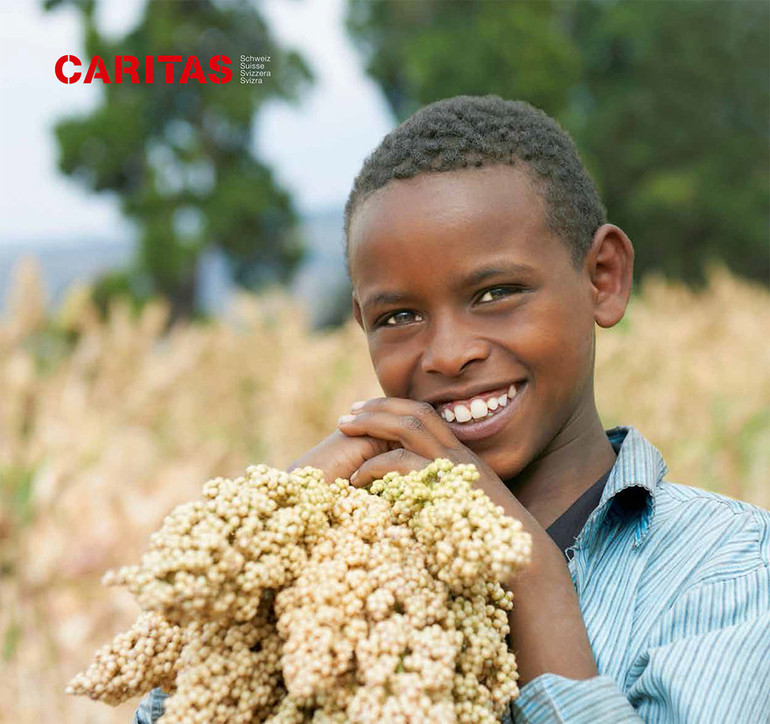Caritas Suisse dons 2016
