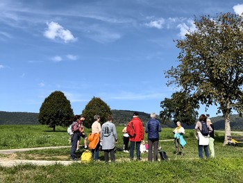 Description de l'image