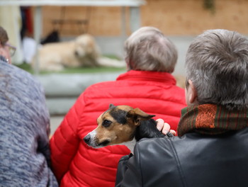 2022-09-24-LesReussilles-CélébrationOeucuméniqueAnimaux