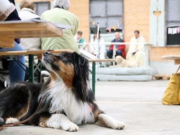 2022-09-24-LesReussilles-CélébrationOeucuméniqueAnimaux