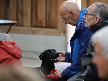 2022-09-24-LesReussilles-CélébrationOeucuméniqueAnimaux