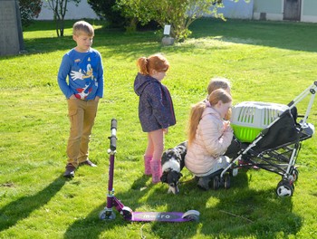 Description de l'image