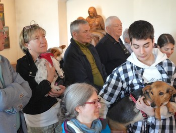 Description de l'image