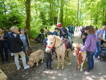 Description de l'image