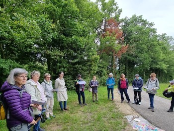 Marche des mamans et grands-mamans Develier 