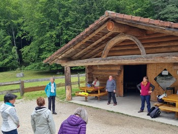 Marche des mamans et grands-mamans Develier 