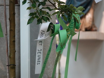 Description de l'image