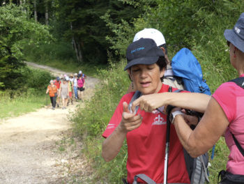 Description de l'image