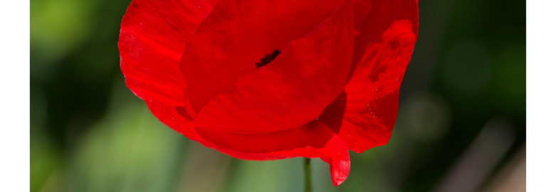   Une photo pour témoigner