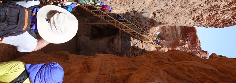 Pèlerinage au Sinaï avril 2024