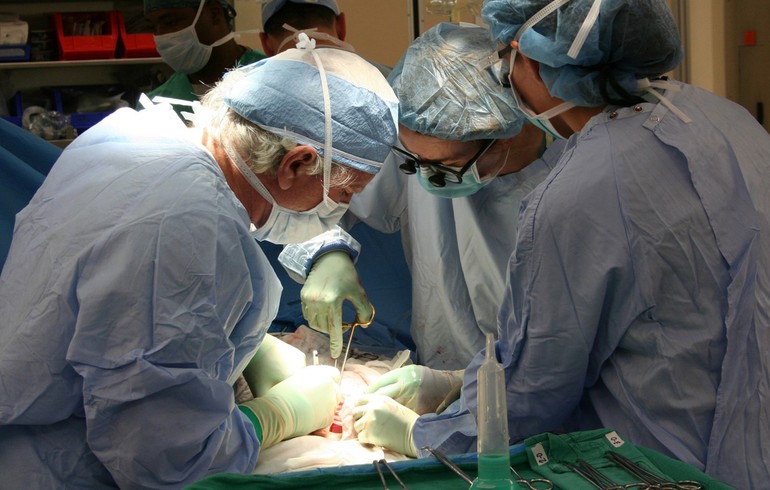 «Le don d’organe doit être libre, sans pression morale ou sociale»