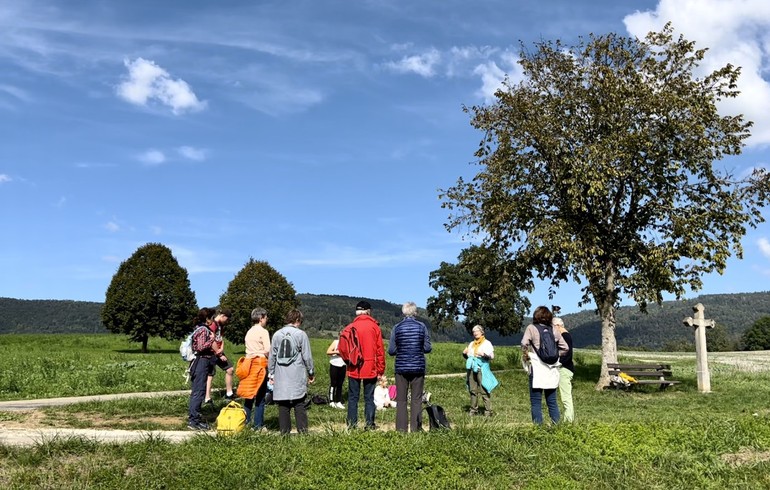 Saison de la Création