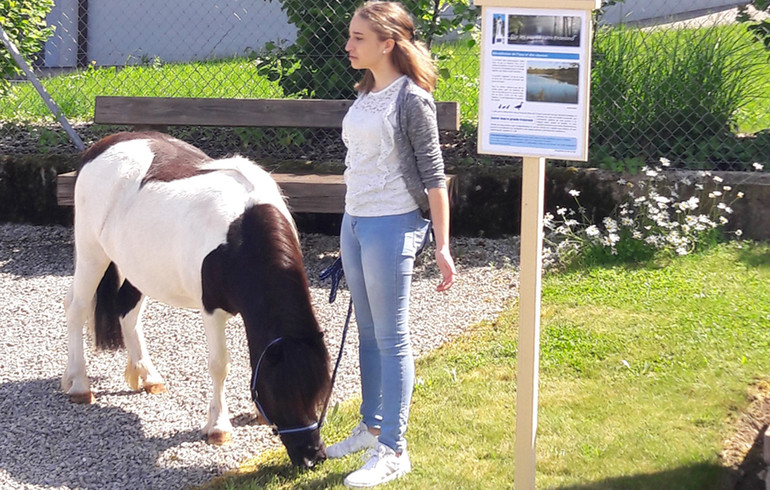 Fêter Saint Fromond avec les familles