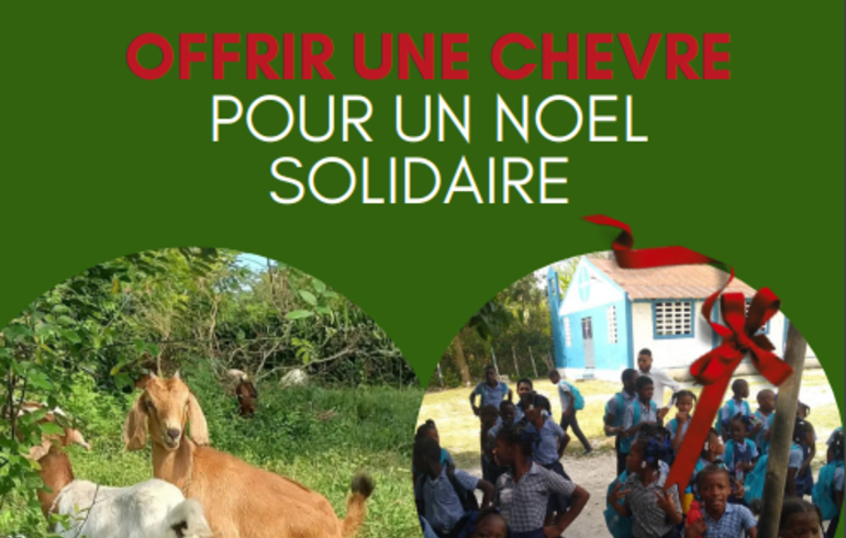 Idée de cadeau pour un Noël solidaire