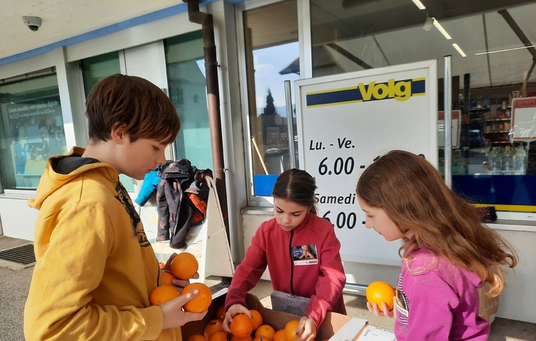 Vente d'oranges