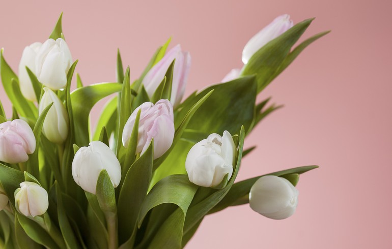 Fête des mamans