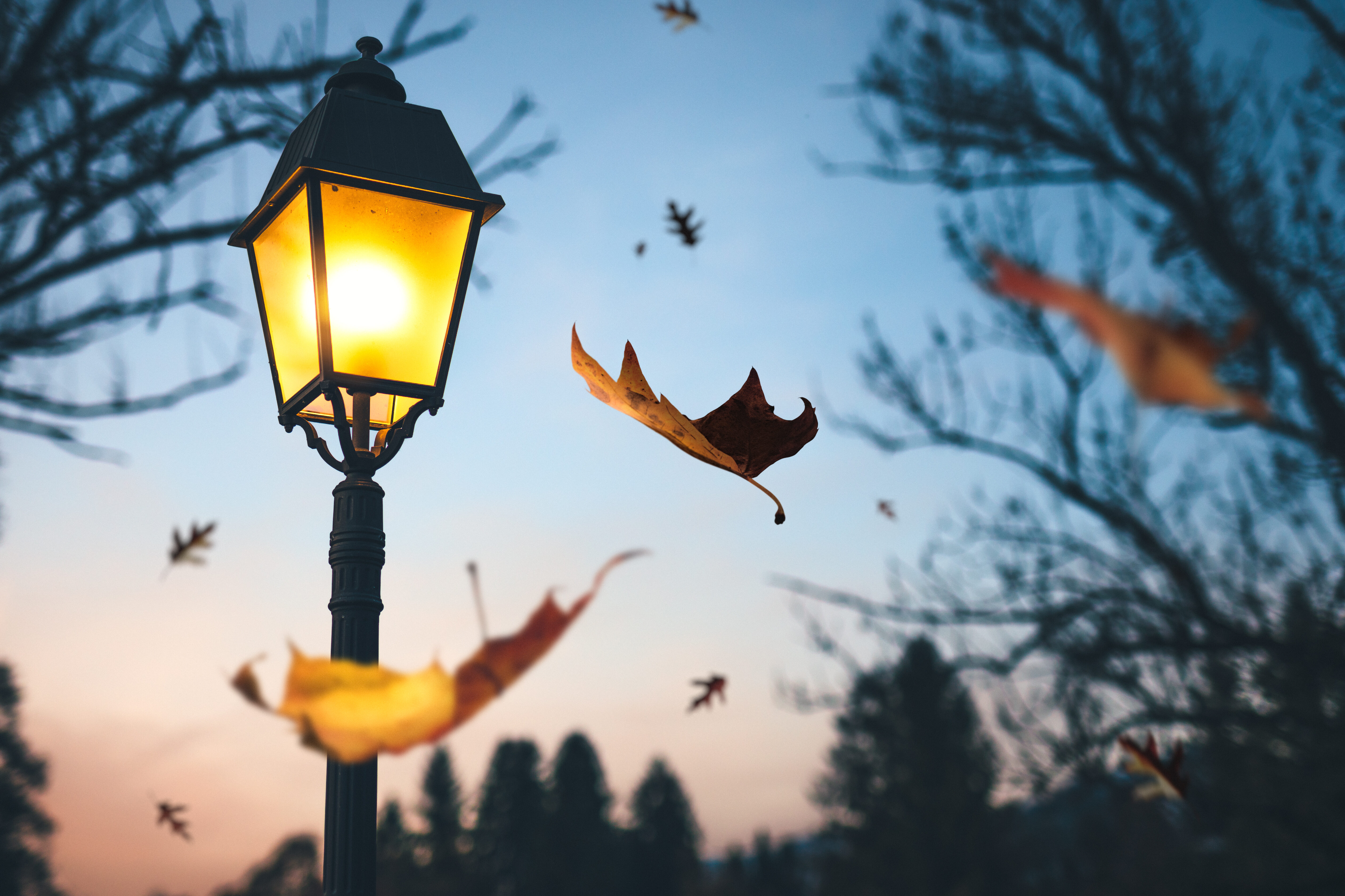 EAF - Equipe d'accompagnement lors des funérailles 