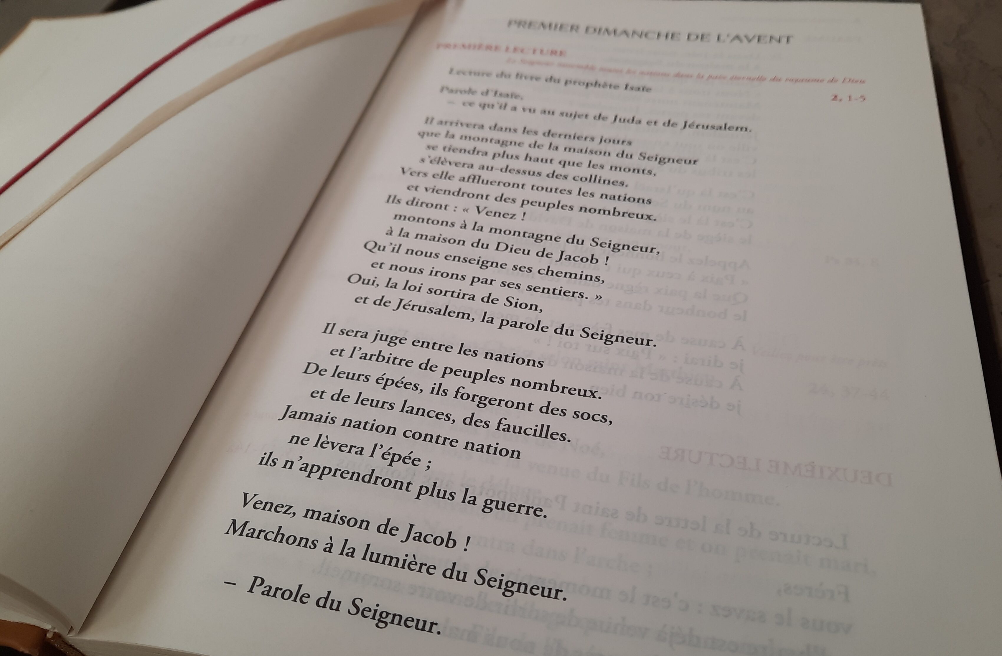 Groupe des lecteurs et ministre de la communion