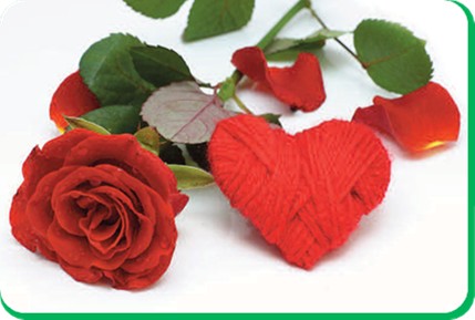 Groupe « Anniversaires » 