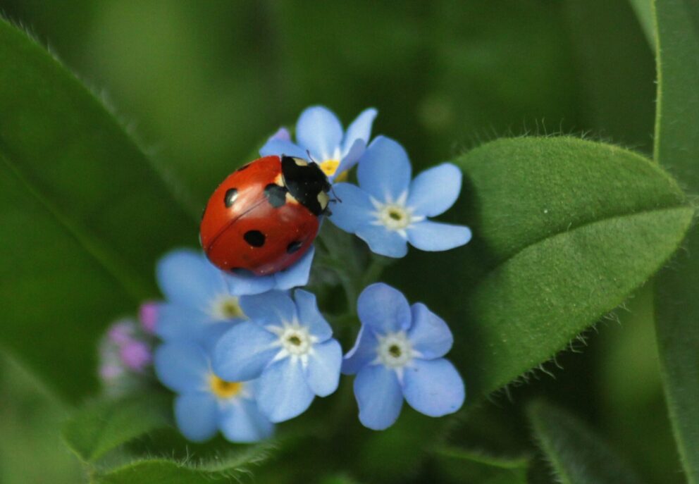 Méditation Via Integralis Delémont