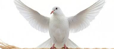 ACAT – Action du Vendredi saint 2026