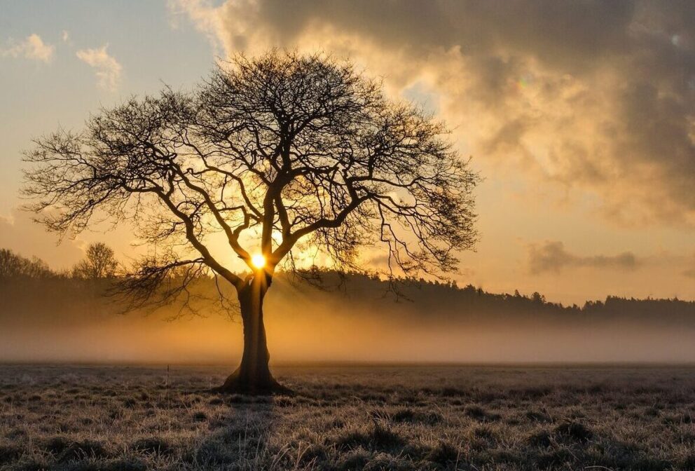 Méditation Via Integralis au Noirmont
