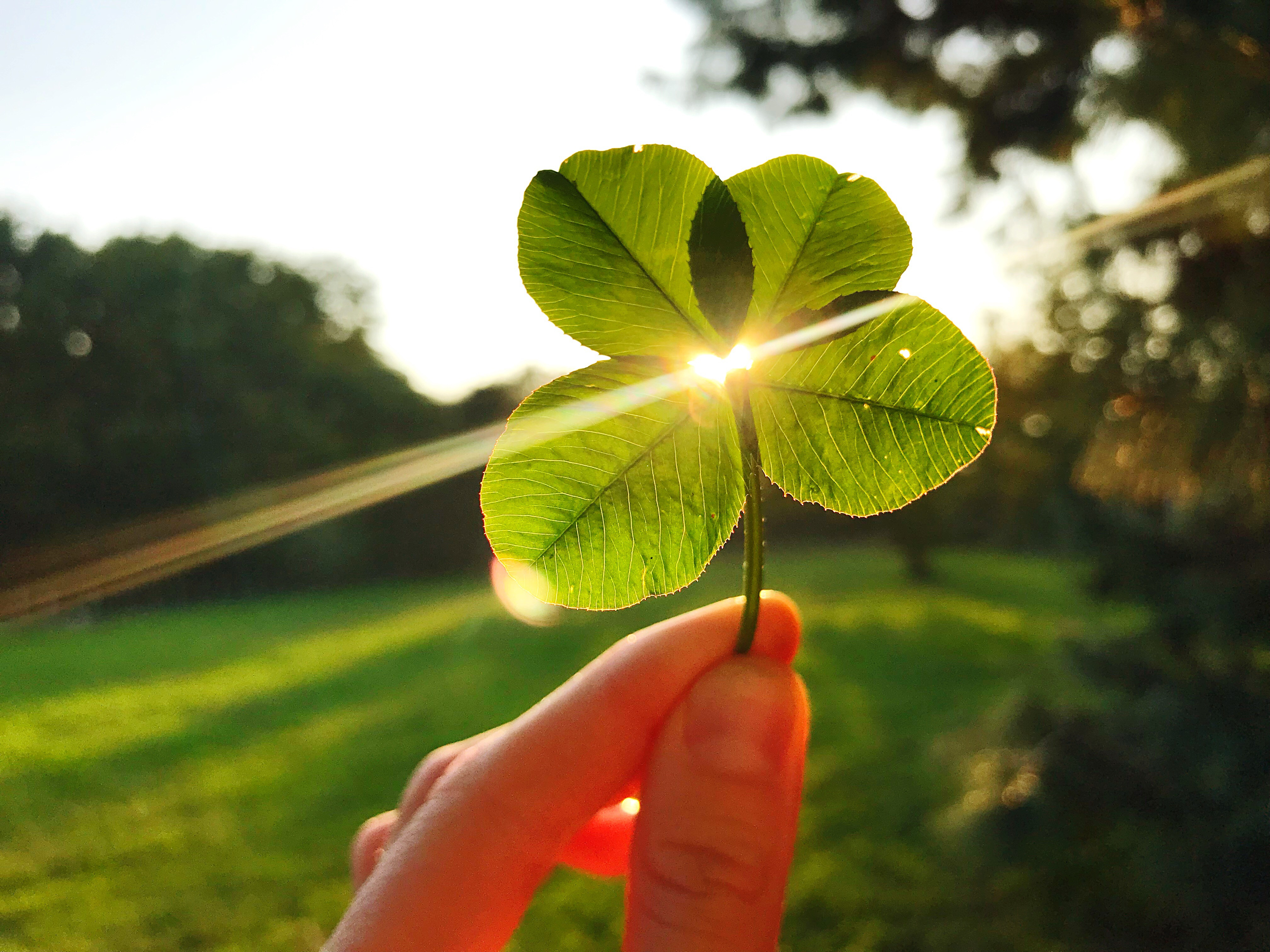 Accompagnement spirituel