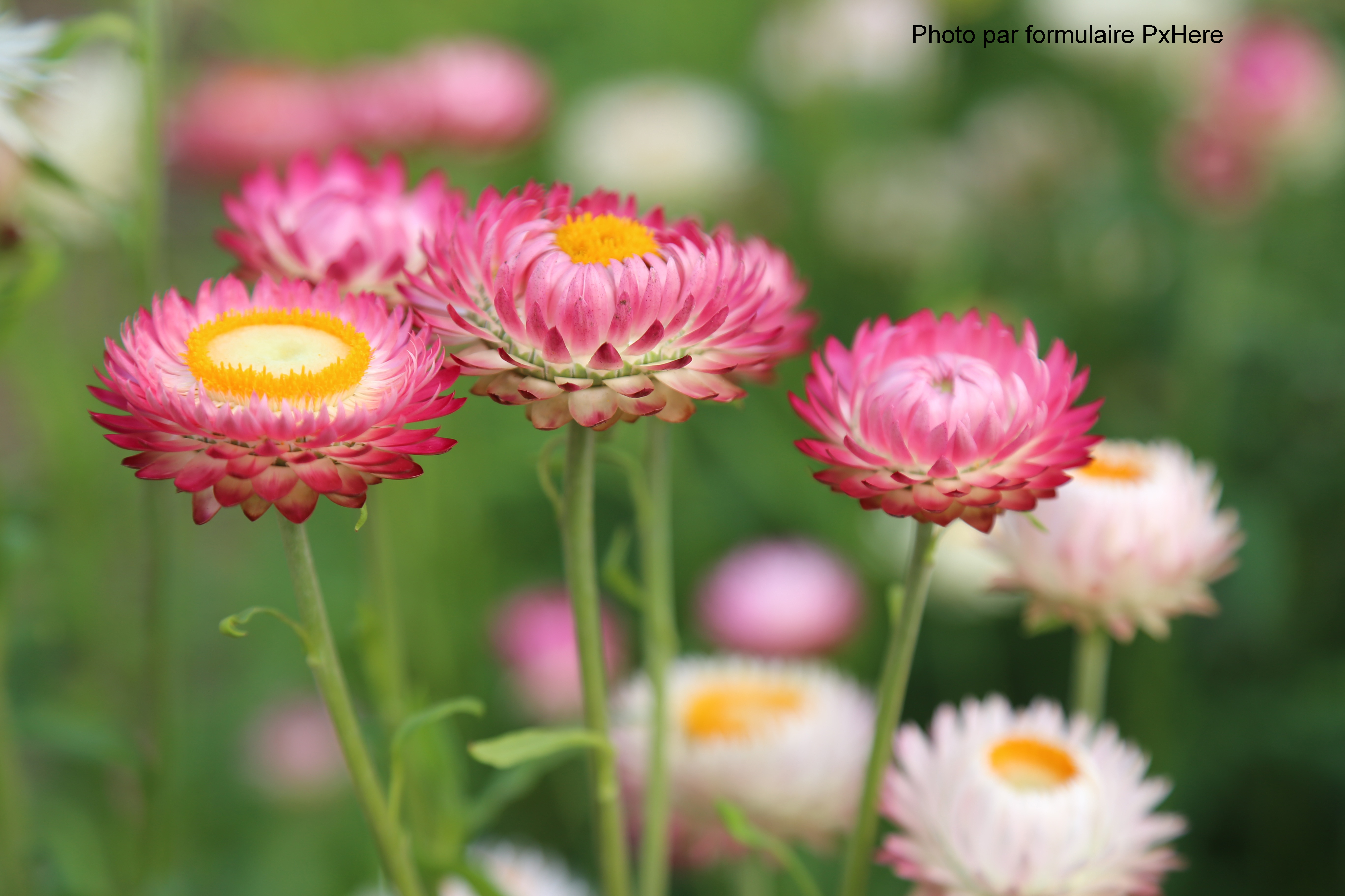 Méditation Via Integralis au Noirmont
