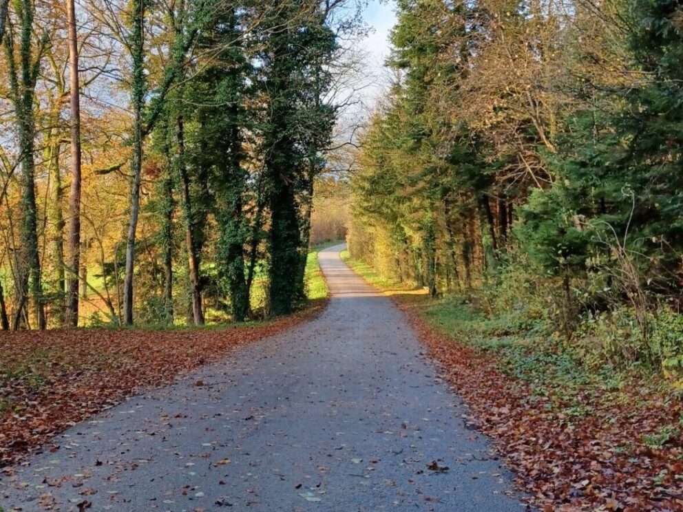 Comment articuler foi et psychologie ?