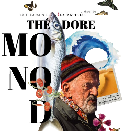 Sur les pas de Théodore Monod avec le Théâtre de la Marelle