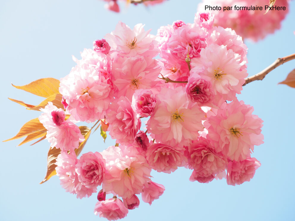 Méditation Via Integralis à Porrentruy