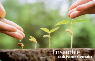 Parcours de catéchèse pour adultes