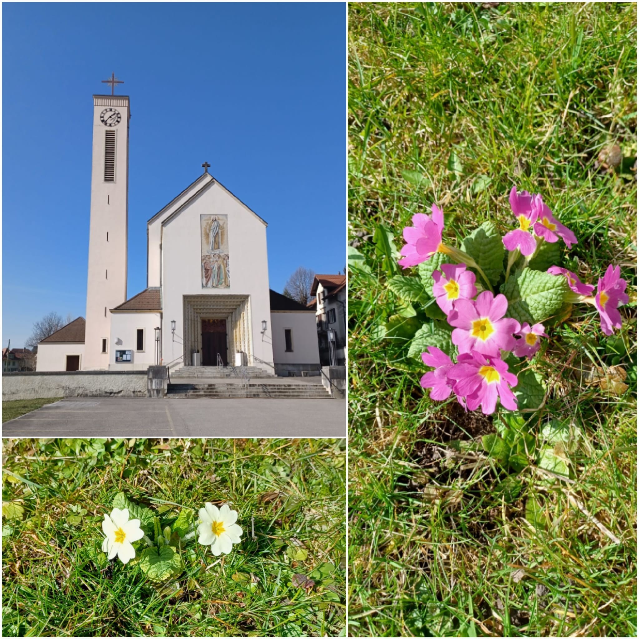 Assemblée paroissiale extraordinaire
