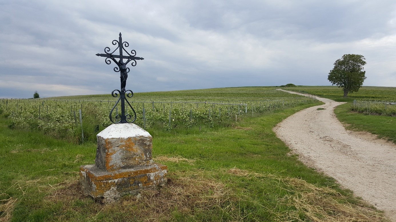Rogations – Bénédictions des terres